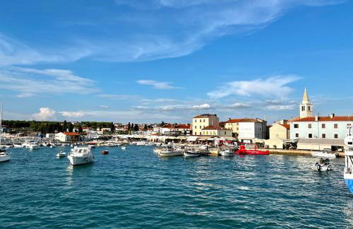 Apartman Dino - Foto 35