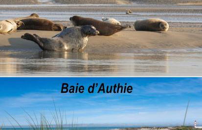 Gîte de charme au coeur de la baie de Somme - Foto 13