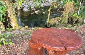 Natureza Loft - Foto 31