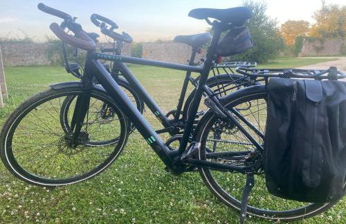 Domaine la Boulinière - Le Faisan - Foto 22