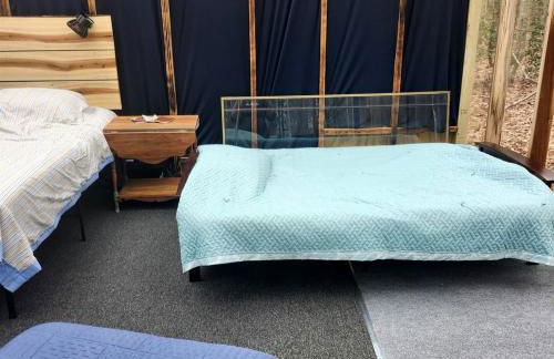 Secluded Forest Cabin with Clear Roof for Stargazing near Watts Bar Lake – Grandview, TN - Foto 31