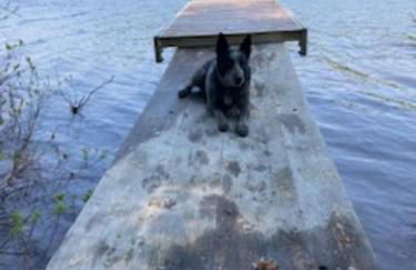 Whispering Waters Farmhouse and Wedding Barn - Foto 29