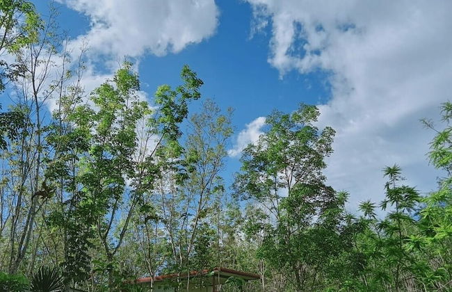 Baansuan Suksangob Farm Stay - Photo 38