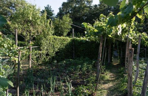 Villa Giardino Boschivo - Irpinia - Foto 24