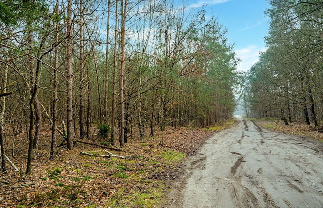 Comfortable Holiday Home With Garden - Foto 27