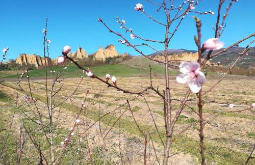 Agriturismo Botro - Foto 30