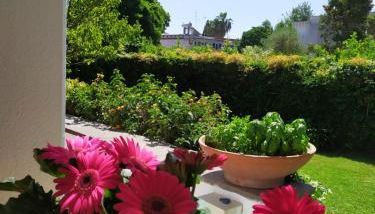 Casa de la Luna - Foto 5, Garden view