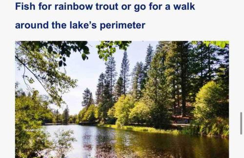 Blissfully Wild -with Hot Tub and pets are welcome - Foto 19