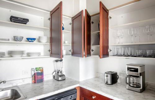 Loop 1BR w Gym Doorman nr L Parks CHI-302 - Foto 10