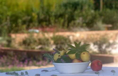 Castellabate House - Foto 38