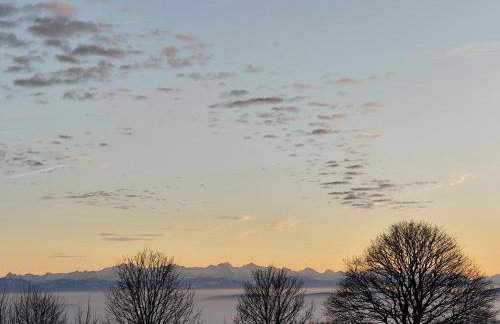 Blackforest Perla - Foto 17