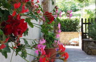 Agriturismo Villino del Grillo - Foto 30