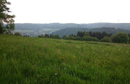 Ferienwohnung Mai, 63qm - Foto 16