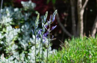 The Granary at Little Howle Farm - Foto 15