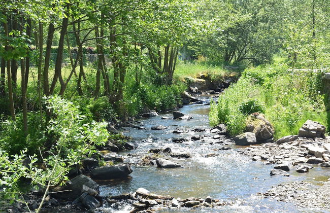 Holiday Home in Gedinne With Forest - Foto 47