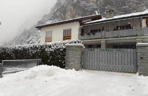 The Green Owl - Foto 45