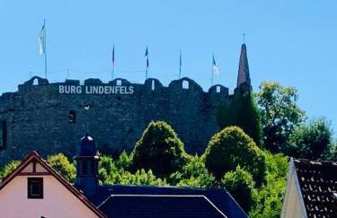 Nibelungen 4 Zimmer Apartment - Foto 50