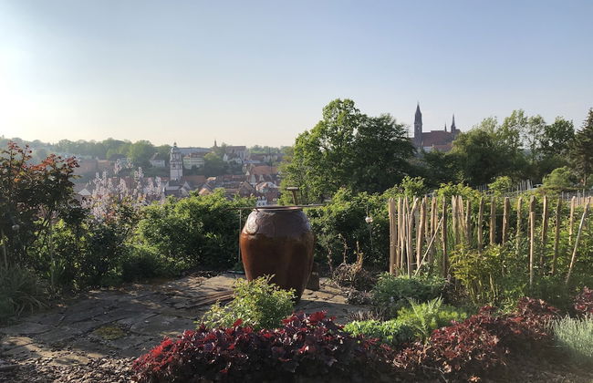 Rebenhaus Meißen - Foto 27