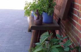 Harksen Hüs - Foto 25