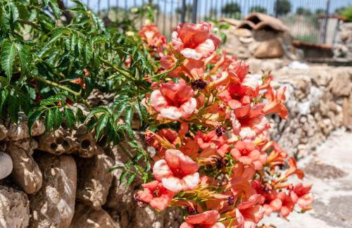 Villa Tre 's' - Foto 34