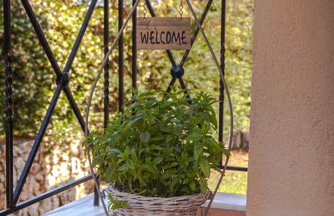 Kefalonia Houses - Foto 16