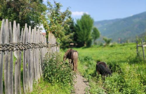 Maurerhof Apartments Kronplatz - Foto 3