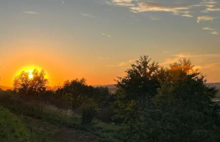 Morgenrot Apartment 2 - Foto 3