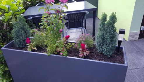 Gite Delphine - Foto 4