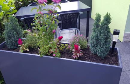 Gite Delphine - Foto 4