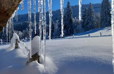 FeWo Alpenfreude mit Hallenbad - Foto 33