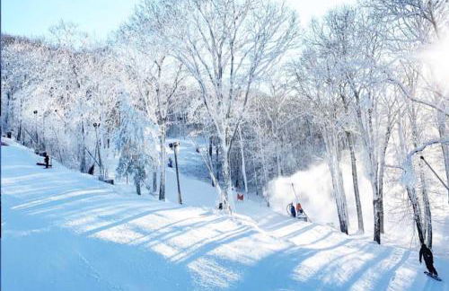Maggie Valley Cabin with Private Hot Tub and Game Room - Foto 41