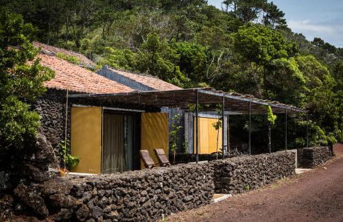 Casas do Amarelo - Photo 54