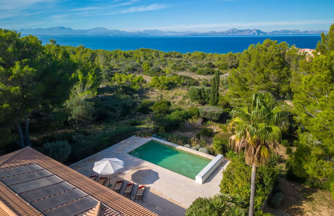 Orquidea 34 - Photo 42