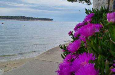 Apartments Jungic, Rab - Photo 77