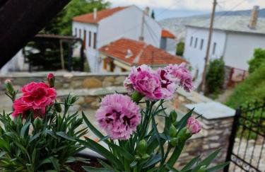 VENUS GUESTHOUSE - Foto 37