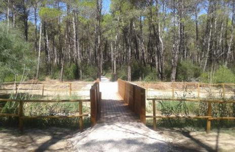 Dimora dei saraceni - Foto 12