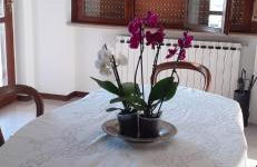 Residence Claudia - Foto 14