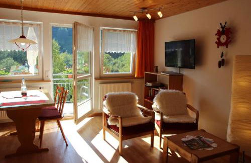 Steiert Panorama Apartments Todtnau - Foto 40