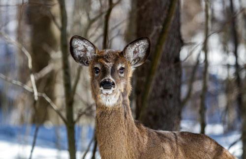 Perfect as a Picture - Foto 44