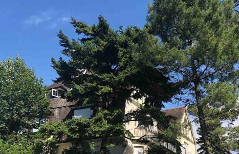 Charming apartment in Touquettoise house - Foto 22