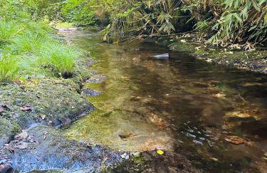 Ty Mawr Country Hotel & Restaurant - Foto 2