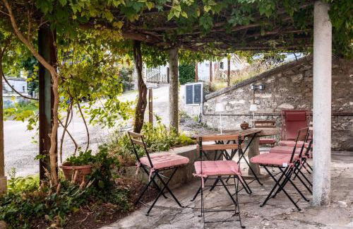 La Balena Rosa - Foto 2