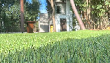 La Casa Pacifica - Foto 5, Garden