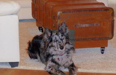 Hus Möwenschiet - Foto 54