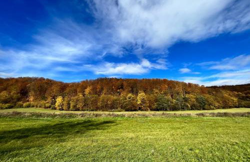 Domki nad Stawem Uherce - Foto 75