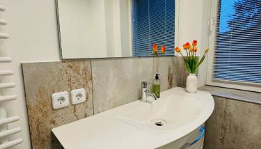 Fewo Reichenbrand - Foto 5