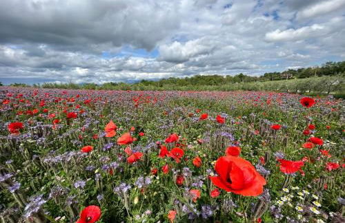 Chalet Garda - Foto 25