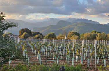 Finca La Preciosa - Photo 53