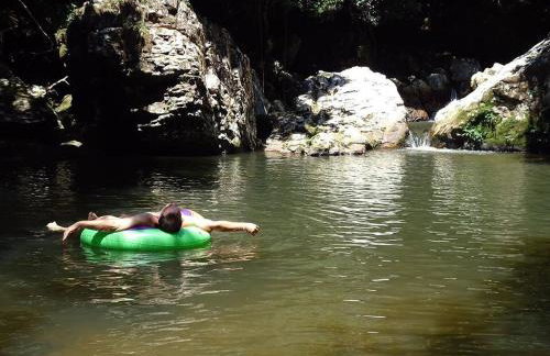 Alugo minha casa na floresta! - Foto 7