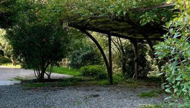 ReBeeApartments - apt 1 - Foto 2